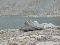 P1120970