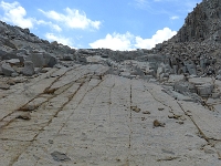 P1130037