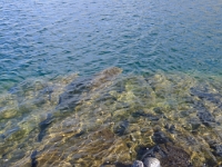 P1130141