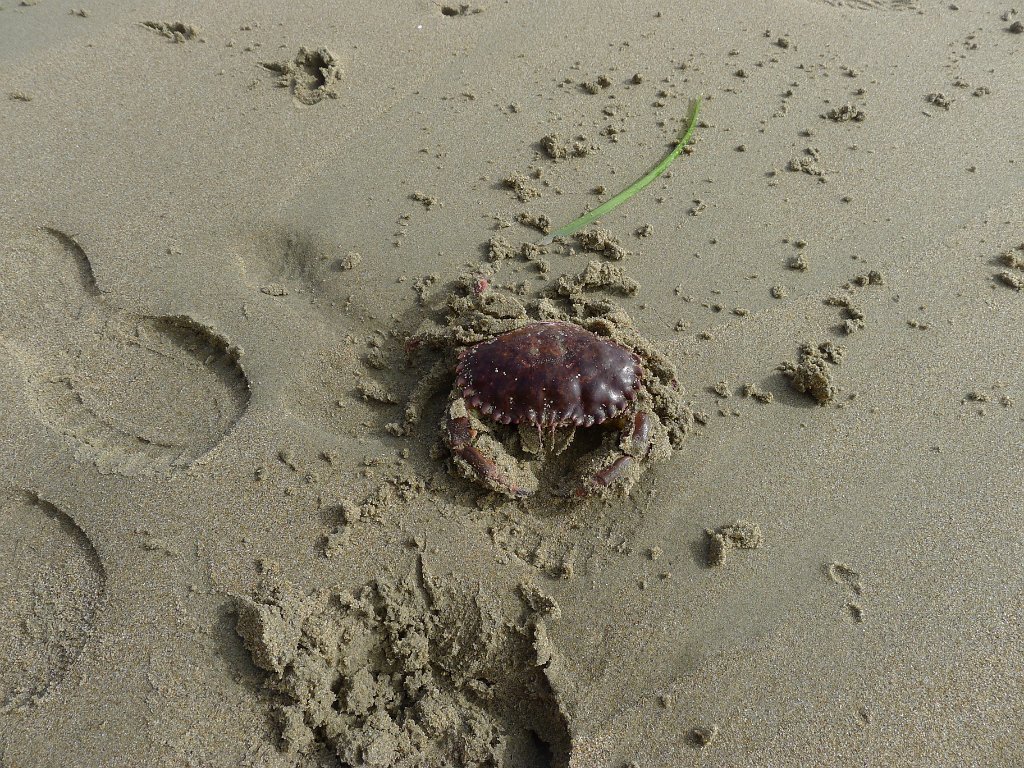 P1120857