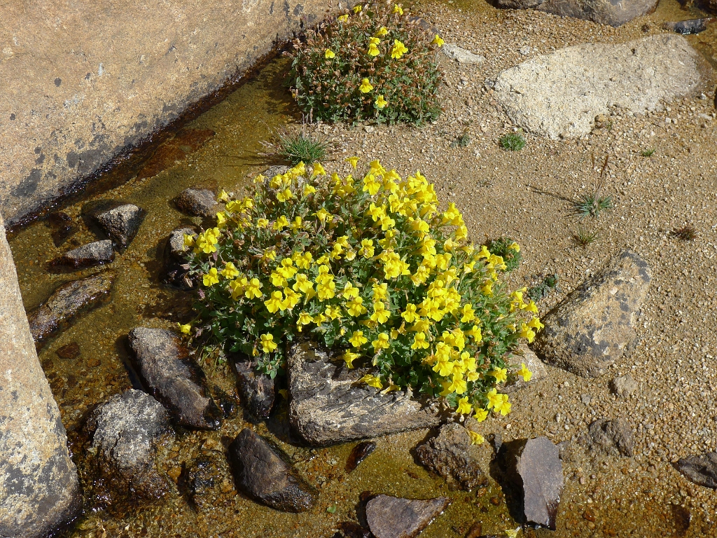 P1130314