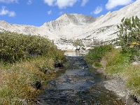 P1130424