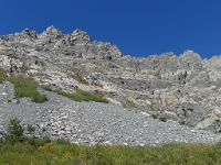 P1130536