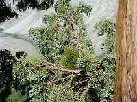 P1130562