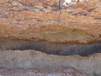 P1130580