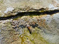 P1130591
