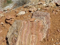 P1130607