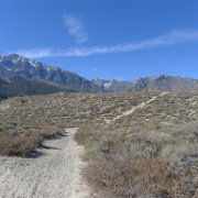 P1130875