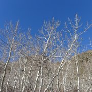 P1140008
