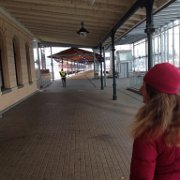 IMG 0749