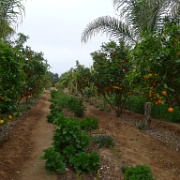 P1140920