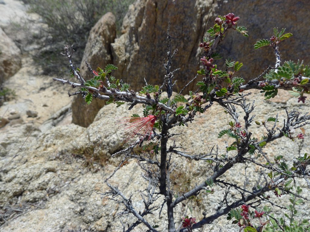 P1140980