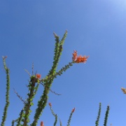 P1140957