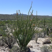 P1140958