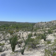 P1140962