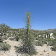 P1140971