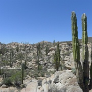 P1140979