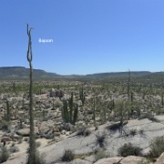 P1140985