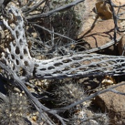 P1140995
