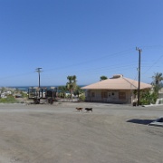 P1150031