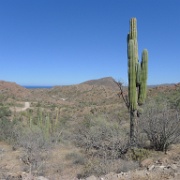 P1150120