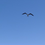 P1150129