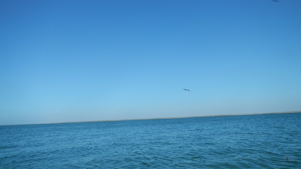 DSCN1346