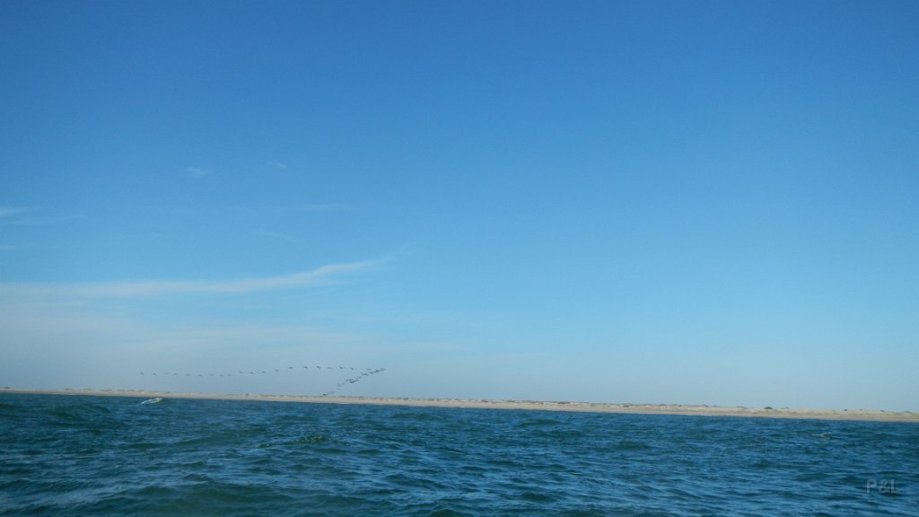 DSCN1349