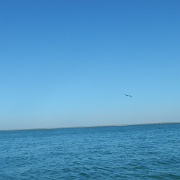 DSCN1346