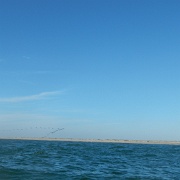DSCN1349