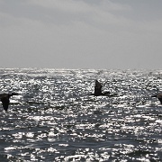 IMG 0019