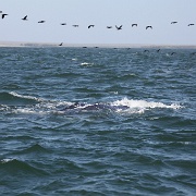 IMG 0046