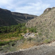 P1150244