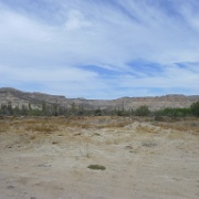 P1150299
