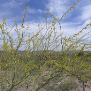 P1150335