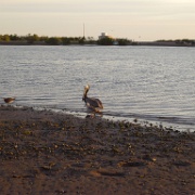 P1150365