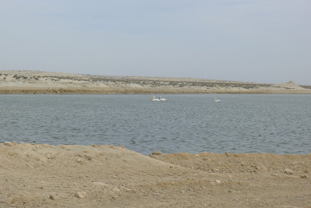 P1150440