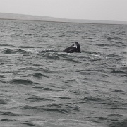 IMG 0169