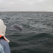 IMG 0178