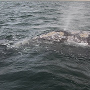 IMG 0191