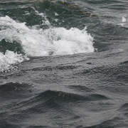 IMG 0233