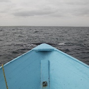 IMG 0238