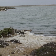 P1150391
