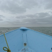 P1150414
