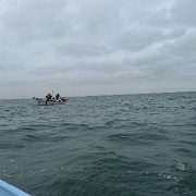 P1150428