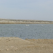 P1150440