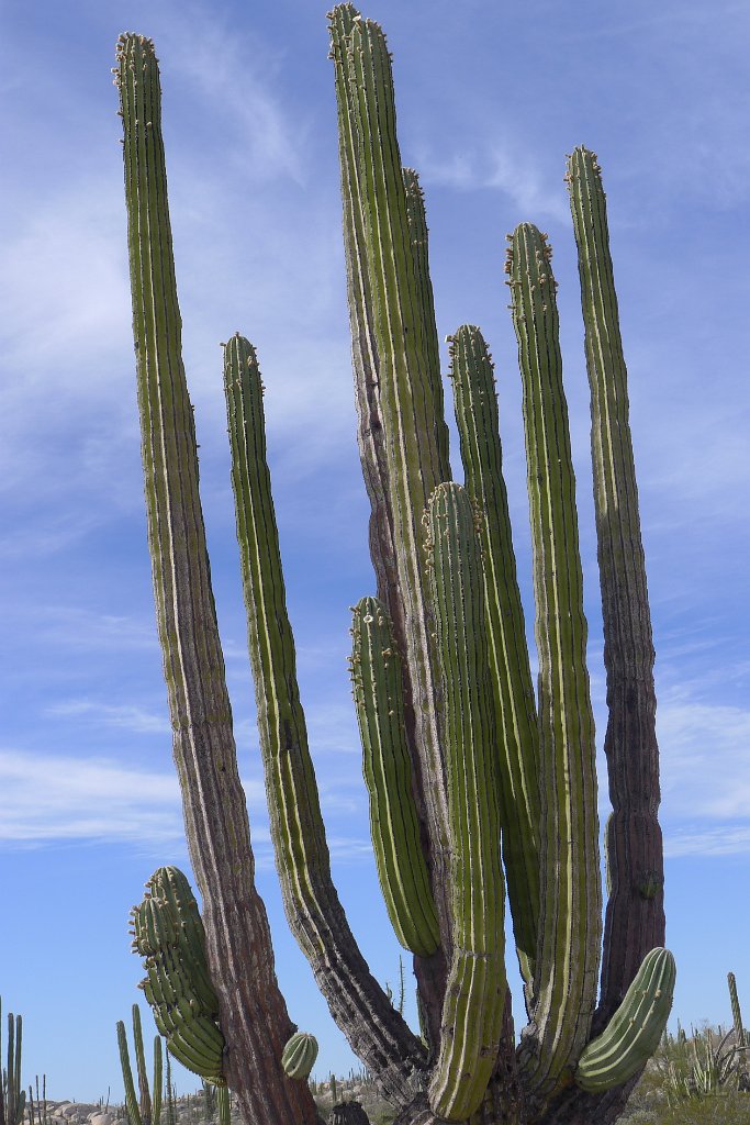 P1150452