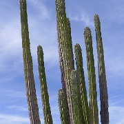 P1150452