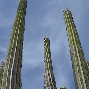 P1150453