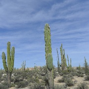 P1150455